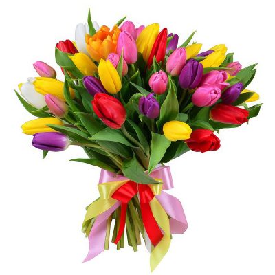 Акция! Тюльпаны 25 шт.